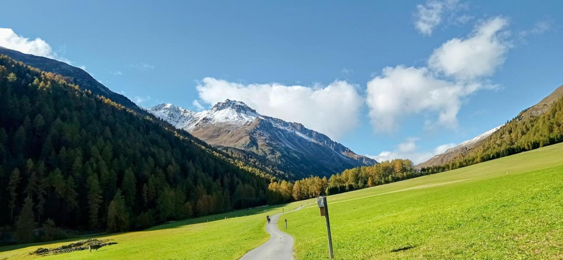 Zangerlehof Villa Slingia ภายนอก รูปภาพ